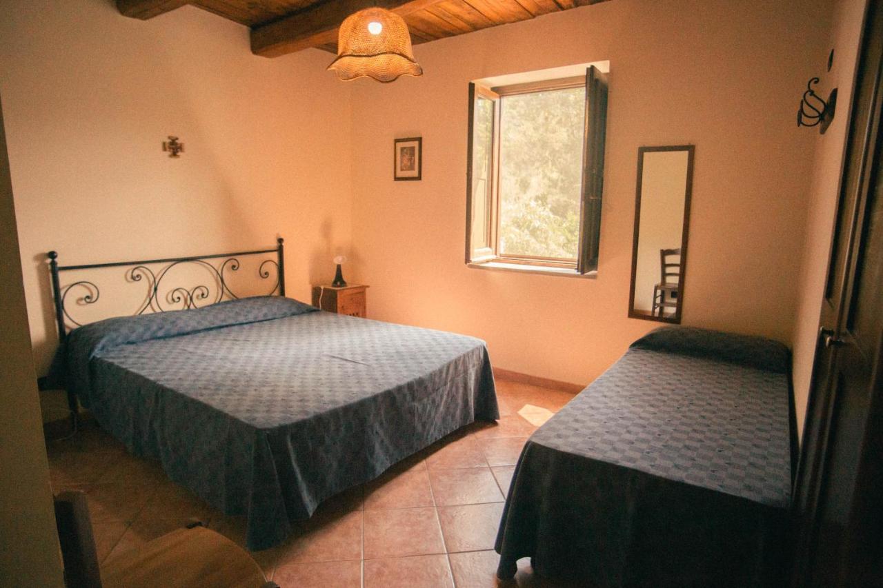 I Cedri Agriturismo Biologico Orsomarso Eksteriør bilde